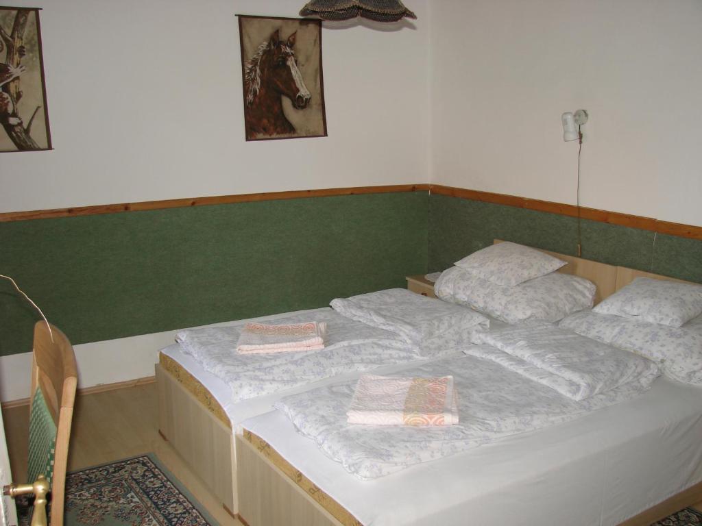 Hotel Benko Vendeghaz Kiskutas Exteriér fotografie